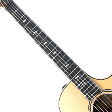 TAYLOR 【夏のボーナスセール】【チョイ傷特価】 812ce テイラー 画像6