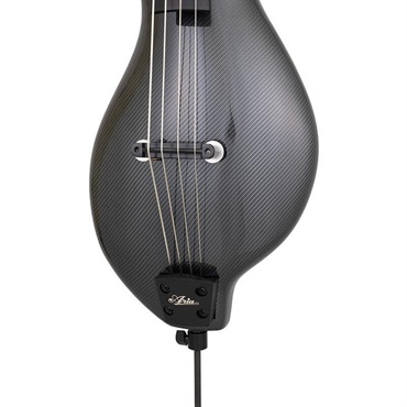 ARIA SWB-300 CFT (Carbon Fiber Texture) 画像2