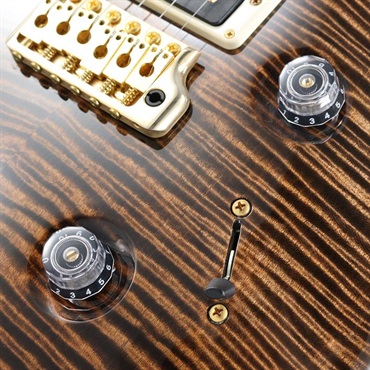 P.R.S. Ikebe Original Wood Library Custom24 McCarty Thickness Espresso [SN.0340062] 【2022年生産品】 画像5