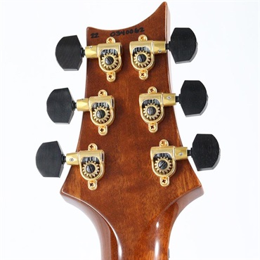P.R.S. Ikebe Original Wood Library Custom24 McCarty Thickness Espresso [SN.0340062] 【2022年生産品】 画像10