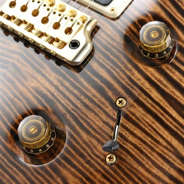 P.R.S. Ikebe Original Wood Library Custom24 McCarty Thickness Espresso [SN.0340179] 【2022年生産品】 画像5