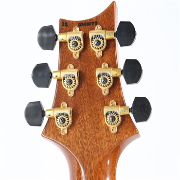 P.R.S. Ikebe Original Wood Library Custom24 McCarty Thickness Espresso [SN.0340179] 【2022年生産品】 画像10