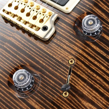 P.R.S. Ikebe Original Wood Library Custom24 McCarty Thickness Espresso [SN.0340514] 【2022年生産品】 画像5
