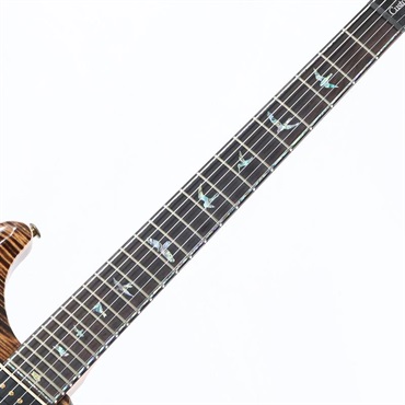 P.R.S. Ikebe Original Wood Library Custom24 McCarty Thickness Espresso [SN.0340514] 【2022年生産品】 画像7
