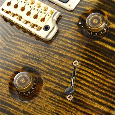 P.R.S. Ikebe Original Wood Library Custom24 McCarty Thickness Tiger Eye [SN.0340104] 【2022年生産品】 画像5