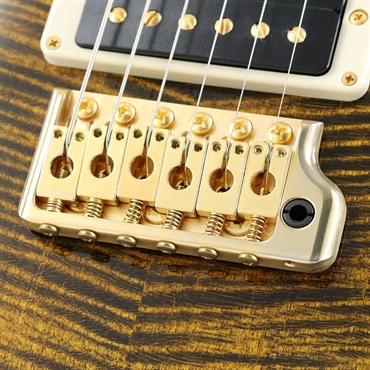 P.R.S. Ikebe Original Wood Library Custom24 McCarty Thickness Tiger Eye [SN.0340104] 【2022年生産品】 画像6