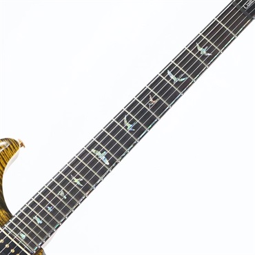 P.R.S. Ikebe Original Wood Library Custom24 McCarty Thickness Tiger Eye [SN.0340104] 【2022年生産品】 画像7