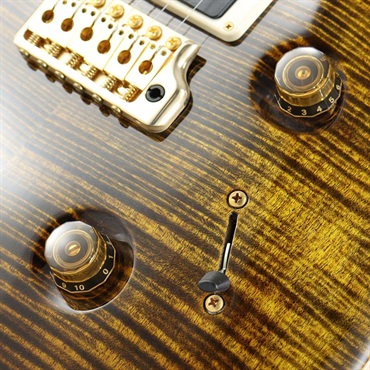 P.R.S. Ikebe Original Wood Library Custom24 McCarty Thickness Tiger Eye [SN.0340443] 【2022年生産品】 画像5