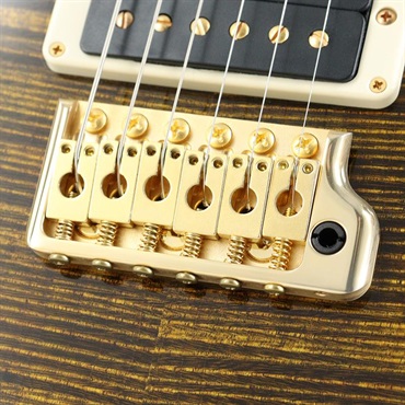 P.R.S. Ikebe Original Wood Library Custom24 McCarty Thickness Tiger Eye [SN.0340443] 【2022年生産品】 画像6