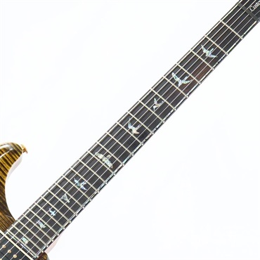 P.R.S. Ikebe Original Wood Library Custom24 McCarty Thickness Tiger Eye [SN.0340443] 【2022年生産品】 画像7