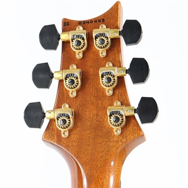 P.R.S. Ikebe Original Wood Library Custom24 McCarty Thickness Tiger Eye [SN.0340443] 【2022年生産品】 画像10