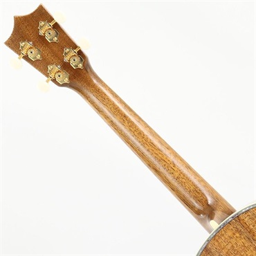 MARTIN 【夏のボーナスセール】 CTM 5K Tenor Tree of Life -Factory Wood Selection Custom Model- マーチン マーティン 画像8