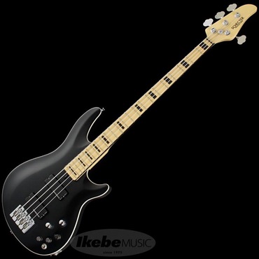 SCHECTER Progauge Artist Model Series PA-TM 画像1