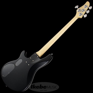 SCHECTER Progauge Artist Model Series PA-TM 画像2