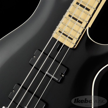 SCHECTER Progauge Artist Model Series PA-TM 画像3