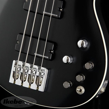 SCHECTER Progauge Artist Model Series PA-TM 画像4
