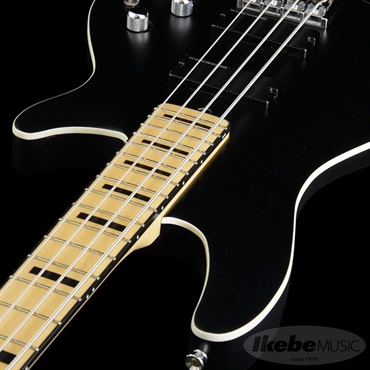 SCHECTER Progauge Artist Model Series PA-TM 画像5
