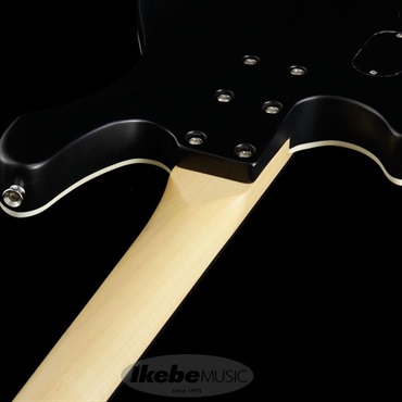 SCHECTER Progauge Artist Model Series PA-TM 画像6