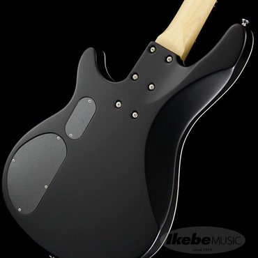 SCHECTER Progauge Artist Model Series PA-TM 画像7