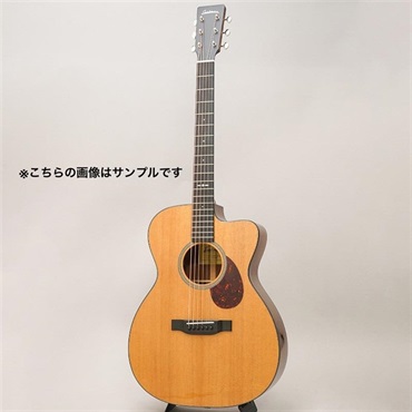EASTMAN 【現地選定品】E1-OMCE-Special #M2516714 画像2