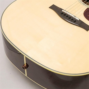 EASTMAN 【現地選定品】AC422CE #M2529845 画像7