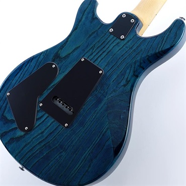 P.R.S. USED 中古 SE Swamp Ash Special (Iri Blue) SN.CTIG079257 画像5
