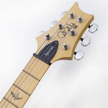 P.R.S. USED 中古 SE Swamp Ash Special (Iri Blue) SN.CTIG079257 画像6