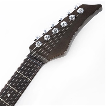 EVO 0101Z Trem H-Silver Sustainiac Mod Limited 画像8