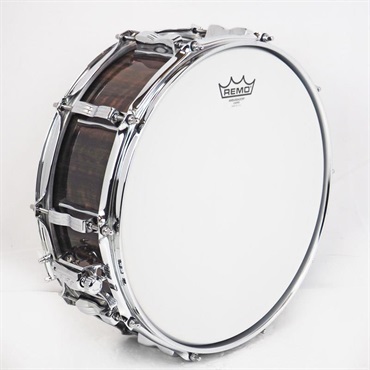 Ludwig USED 中古 LS401 [Classic Maple Exotic 14×5/Fumed Eucalyptus] 画像5