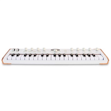 Arturia ASTROLAB 37 (アートリア)(アストロラボ)(ステージキーボード) 画像3