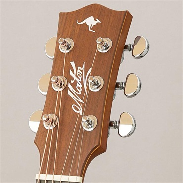 MATON EBG808C TE - Tommy Emmanuel - メイトン 画像10