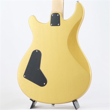 P.R.S. SE CE 24 Standard Stoptail Satin (Metallic Gold) 画像3