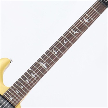 P.R.S. SE CE 24 Standard Stoptail Satin (Metallic Gold) 画像5