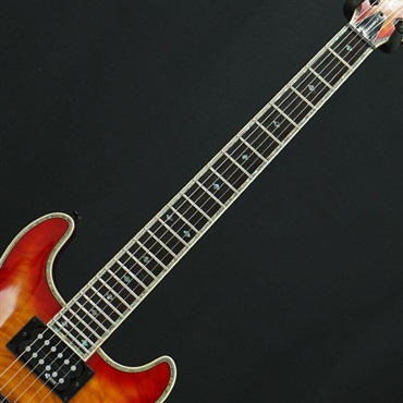 FERNANDES ／ Burny USED 中古 Dragonfly Elite(See-Thru Black Cherry)［SN.FSG0800474］ フェルナンデス/バーニー 画像4