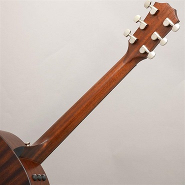 TAYLOR 【夏先取り大特価セール】 AD27e テイラー 画像9