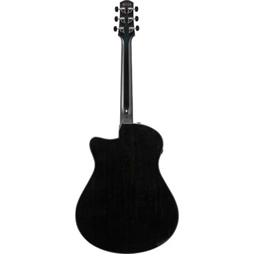 Ibanez 【夏先取り大特価セール】【廃盤特価】AAM340CE-RUB アイバニーズ 画像2