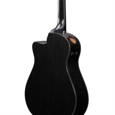 Ibanez 【夏先取り大特価セール】【廃盤特価】AAM340CE-RUB アイバニーズ 画像3