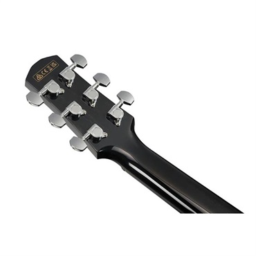 Ibanez 【夏先取り大特価セール】【廃盤特価】AAM340CE-RUB アイバニーズ 画像4