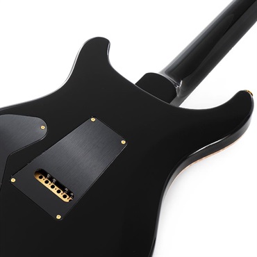 P.R.S. Custom 24 Piezo 10 Top (Charcoal Burst) SN.0407445 画像5