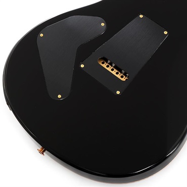 P.R.S. Custom 24 Piezo 10 Top (Charcoal Burst) SN.0407445 画像7
