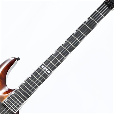 E-II HORIZON FR-II (Tiger Eye Sunburst) [SN.ES2770253] 画像5