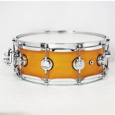 dw DRS00514SSC104 [Collector's Pure Maple Snare Drum Standard Shell 14×5 / Amber Satin Oil] 画像1