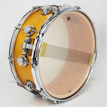 dw DRS00614SSC104 [Collector's Pure Maple Snare Drum Standard Shell 14×5.5 / Amber Satin Oil] 画像4