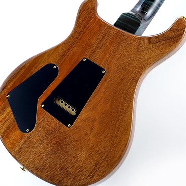 P.R.S. 【Paul Reed Smith氏サインイン入りバックプレート付属！】 Ikebe 50th Anniversary Wood Library Special Semi-Hollow (Teal) SN.0402031 画像7