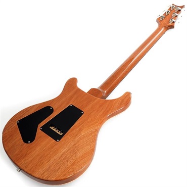 P.R.S. 2024 Custom 24 (Charcoal) SN.0378504 【2024年生産品】 画像2