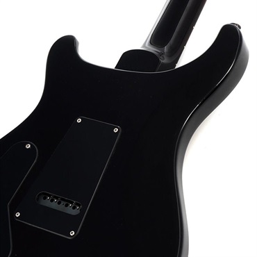P.R.S. 2024 S2 Custom 24 (Black Amber) SN.S2072871 【2024年生産品】 画像5