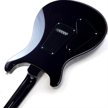 P.R.S. S2 Custom 24 Custom Configuration (Whale Blue) SN.S2078864 【2024年生産品】 画像6