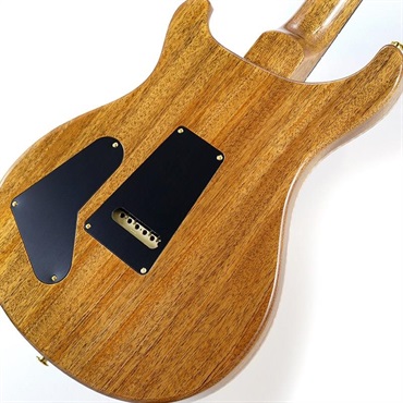 P.R.S. 2024 Special Semi-Hollow 10top (Santana Yellow) SN.0396733 【2024年生産品】 画像7