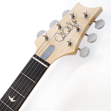 P.R.S. Silver Sky Rosewood (Polar Blue) SN.0386259 【2024年生産品】 画像8