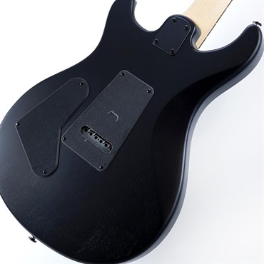 P.R.S. SE Swamp Ash CE 24 Sandblasted Limited Edition (Sandblasted Blue) SN.CTIG036340 【2024年生産品】 画像7
